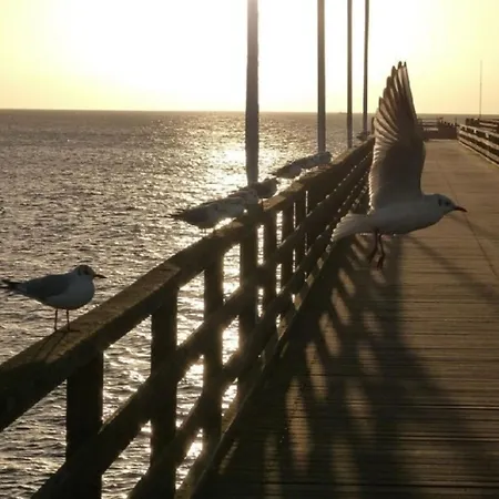 Ostseebrise 14 - Appartement *